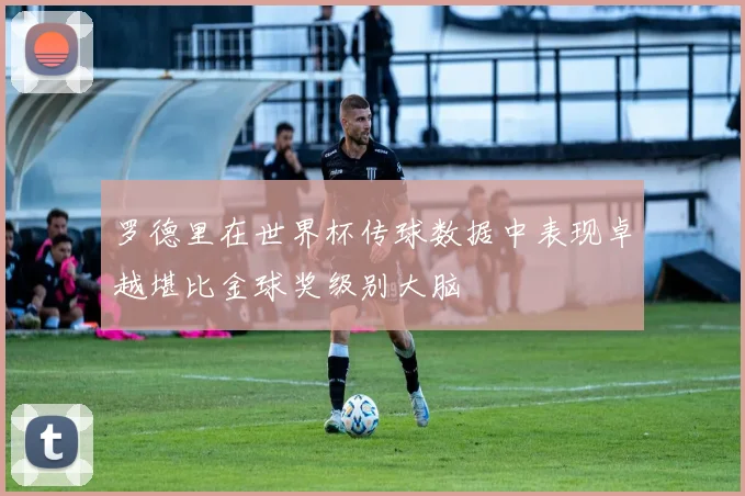 罗德里在世界杯传球数据中表现卓越堪比金球奖级别大脑
