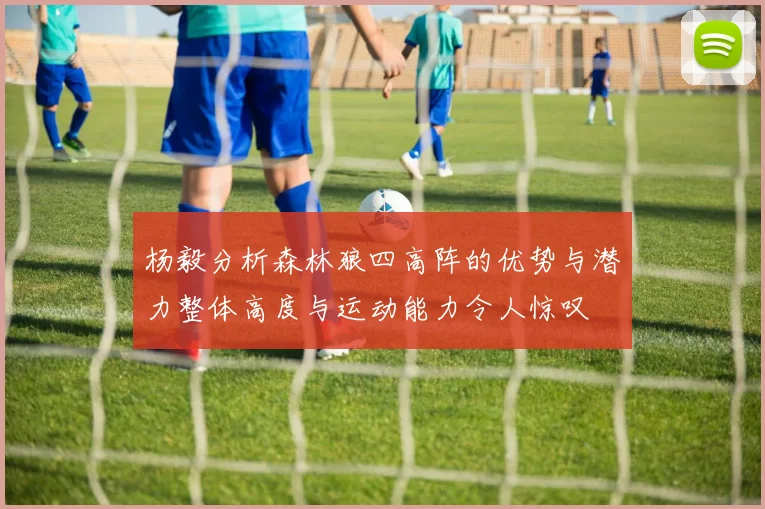 杨毅分析森林狼四高阵的优势与潜力整体高度与运动能力令人惊叹