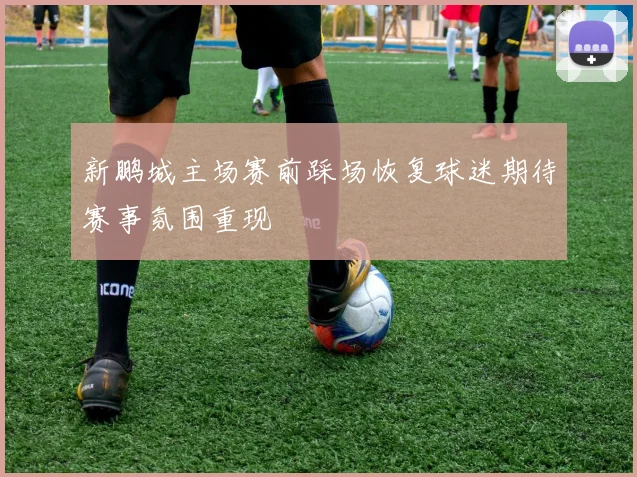 新鹏城主场赛前踩场恢复球迷期待赛事氛围重现