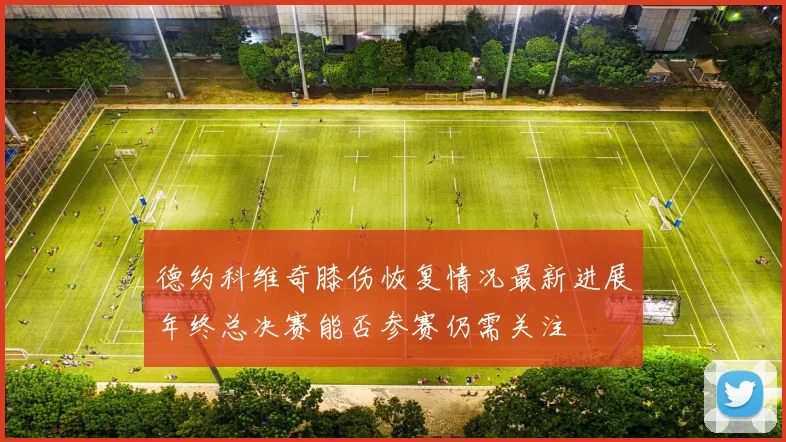 德约科维奇膝伤恢复情况最新进展年终总决赛能否参赛仍需关注