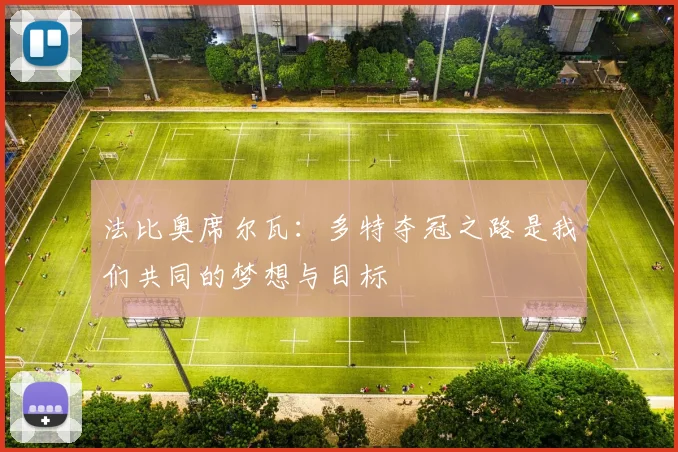 法比奥席尔瓦：多特夺冠之路是我们共同的梦想与目标